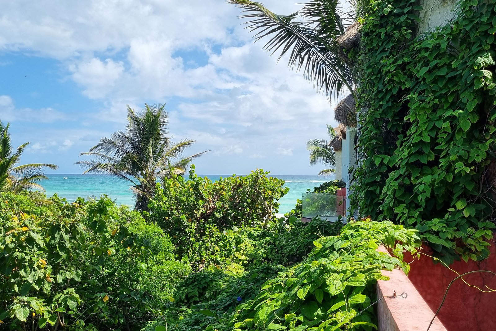 Copia-de-OceanfrontPalapa-1_11zon-scaled (1).webp_0000_20250206_134006