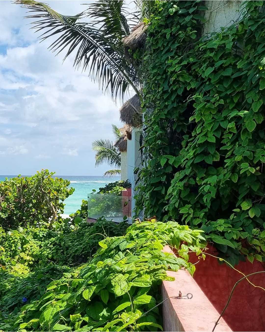 Galeria_0015_1309644_0007_Copia-de-OceanfrontPalapa-1_11zon-scaled-1.webp_0000_20250206_134006