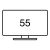 TV55